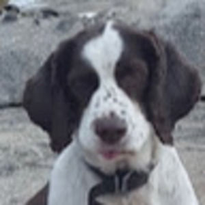 Meet your Posher, Veronica